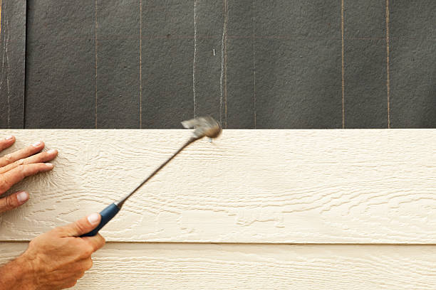 Best Custom Trim and Detailing for Siding  in Decatur, MS